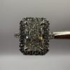 Pierścionek Royal Ring